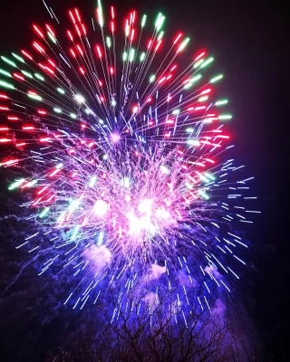 🎆